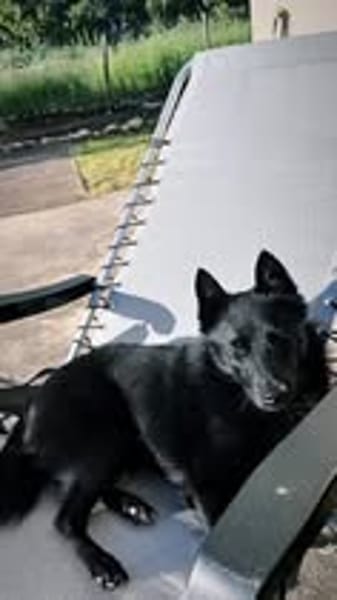 AIKO