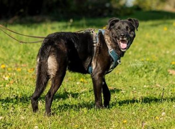 aktiver OREO sucht erfahrene Menschen