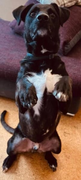 aktiver OREO sucht erfahrene Menschen