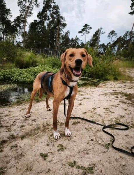 Anton ~1/25 m  such zuhause zum verliebe