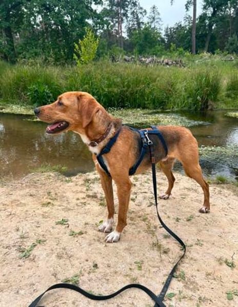 Anton ~1/25 m  such zuhause zum verliebe