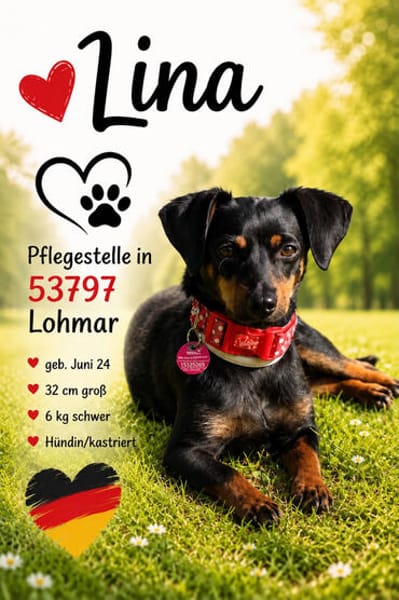 Lina - vorsichtig & verschmust