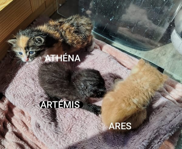 ATHENA réservée