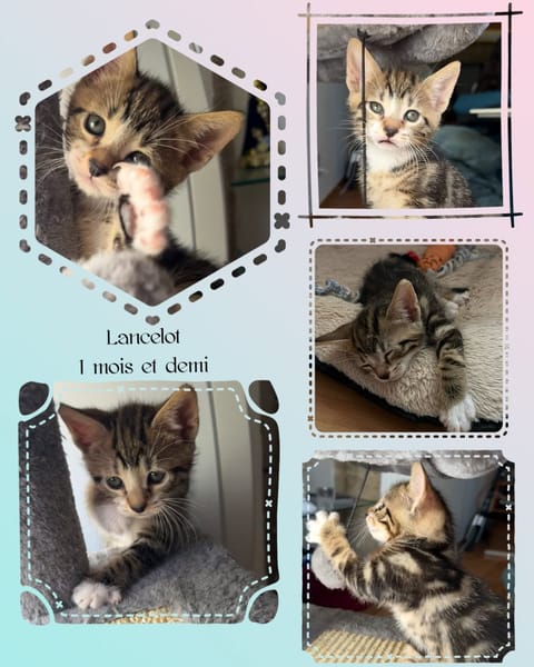 LANCELOT