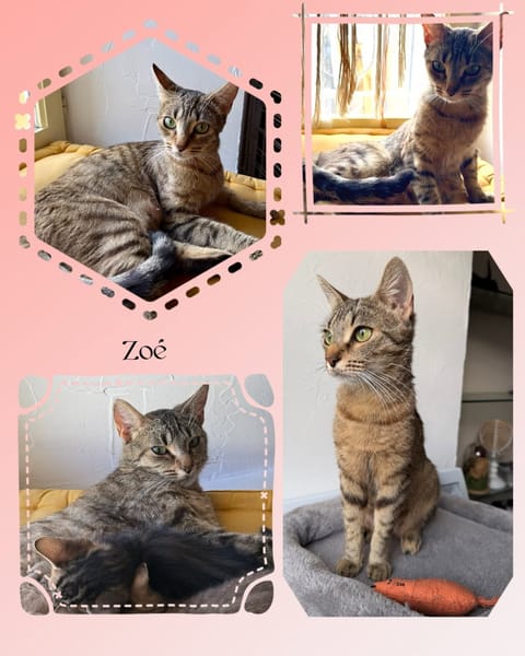 GENIEVRE et ZOE