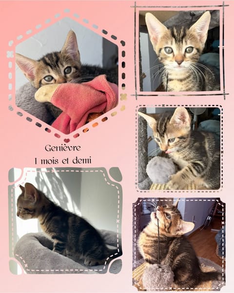 GENIEVRE et ZOE