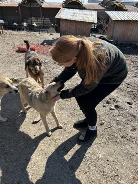 Herzenshund Snoopy sucht Zuhause