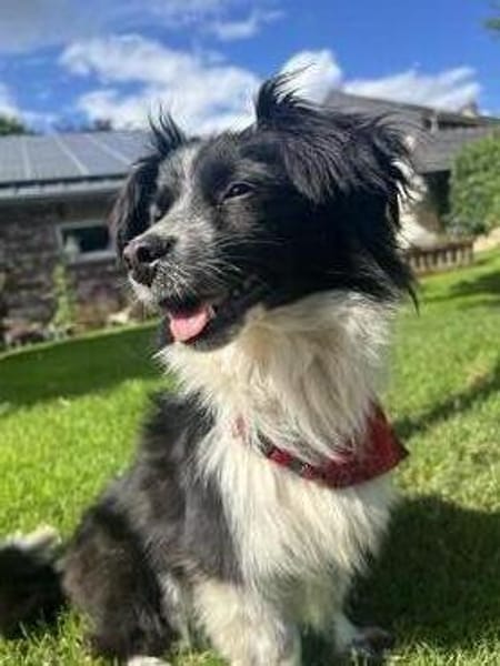 Kleine Emma sucht Zuhause