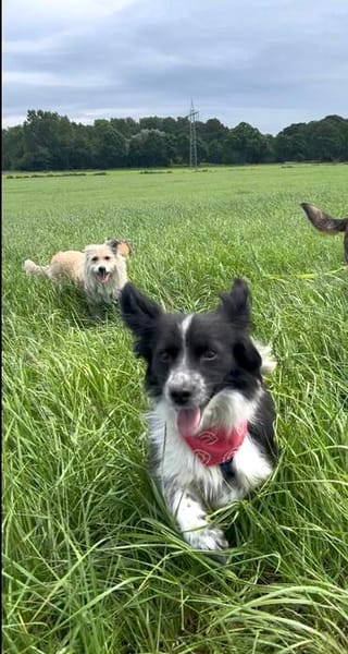Kleine Emma sucht Zuhause