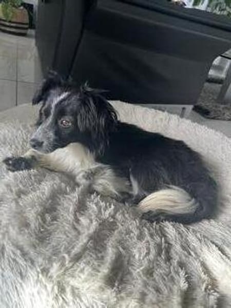 Kleine Emma sucht Zuhause