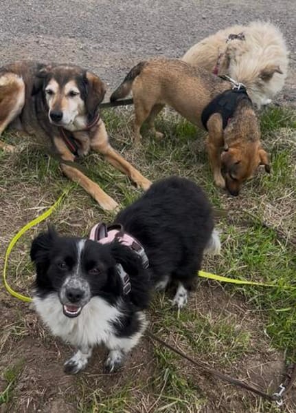 Kleine Emma sucht Zuhause