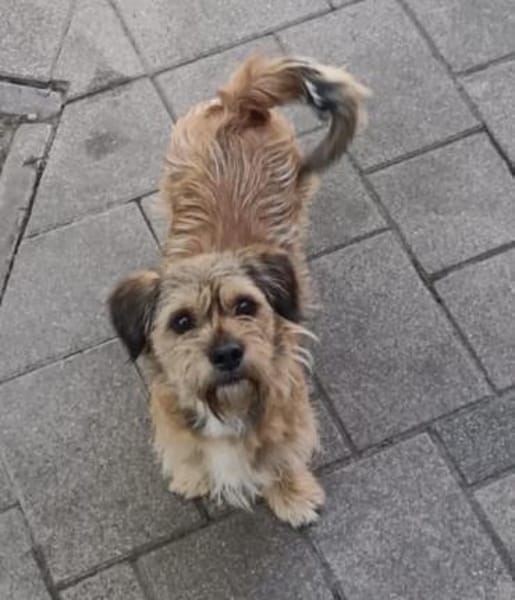 Tony° in 86529 Schrobenhausen