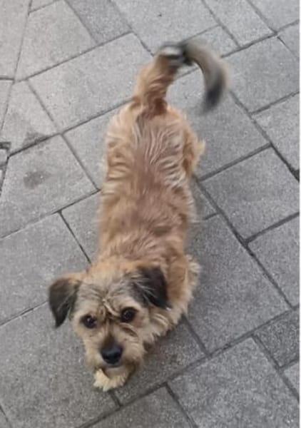 Tony° in 86529 Schrobenhausen