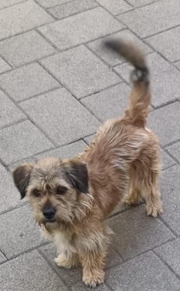 Tony° in 86529 Schrobenhausen