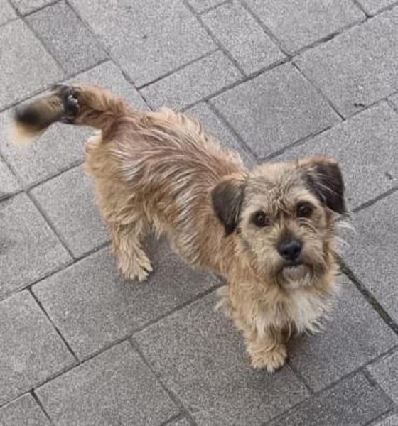 Tony° in 86529 Schrobenhausen