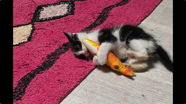 Merlin