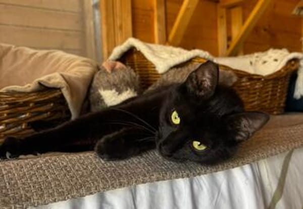 Kleine Olivia möchte die Welt entdecken!