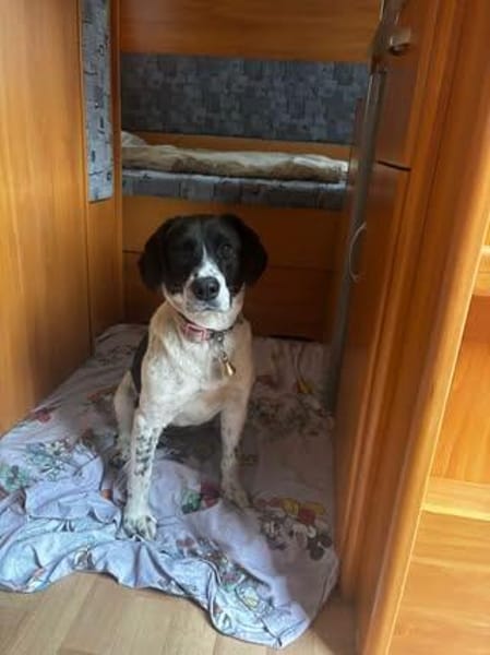 ❤Malika❤ sucht ihre Familie