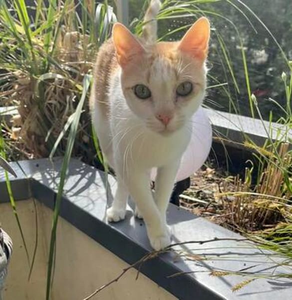 Nemo und Pack suchen zusammen
