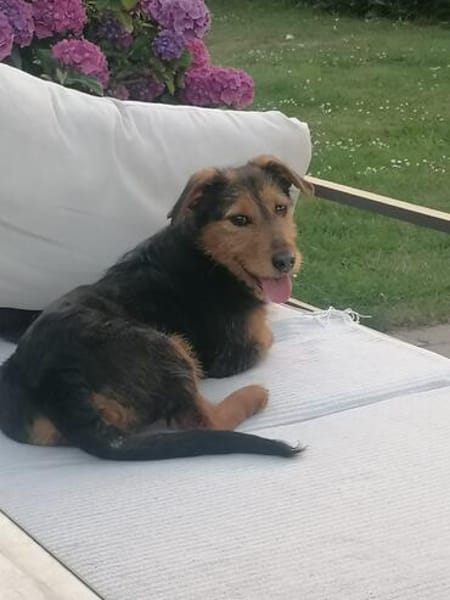 Ella, kleine, selbstbewußte Zaubermaus