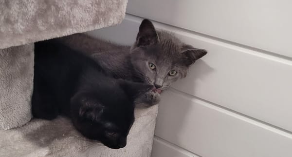 BERLIOZ