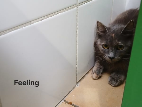 Feeling