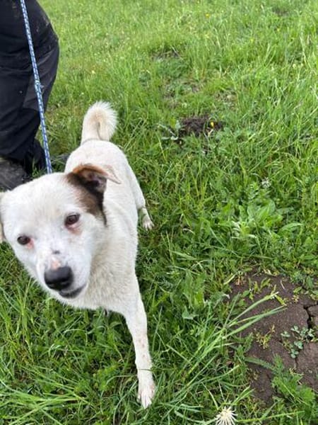Yuki sucht sein Für-immer-Zuhause