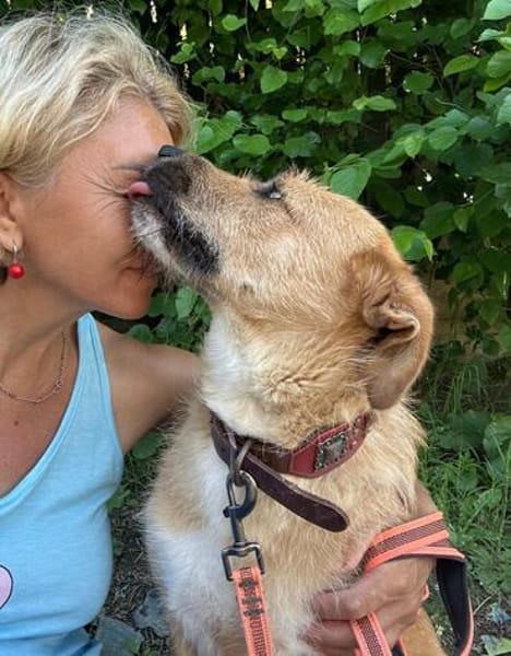 Stelya ist eine Seele von Hund