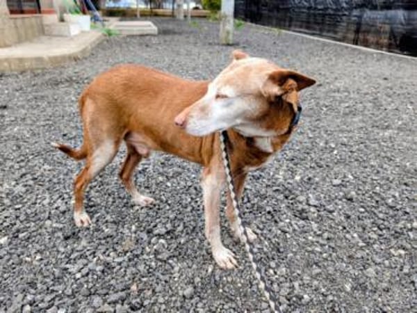 Zeta1 sucht ein Zuhause/