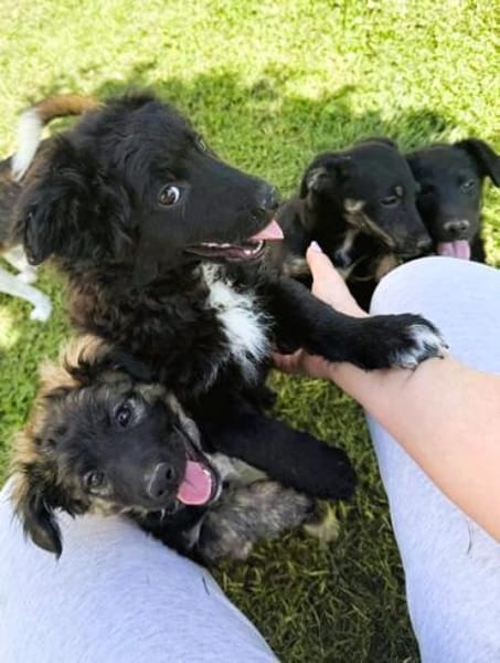 Kleine Lena sucht ihre Familie