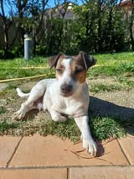 LOUNA