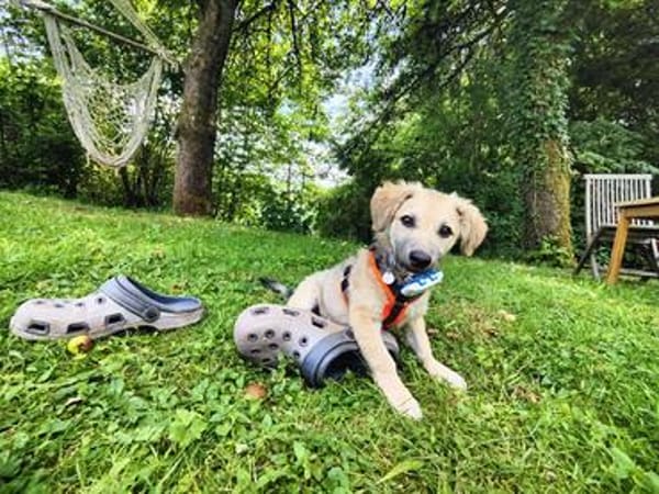 Kleine Lara sucht liebevolle Menschen!