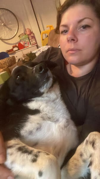 Aira, stubenreine Kuschelpartnerin, 5 J.