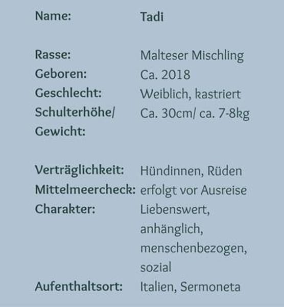 Tadi, kleine Maus