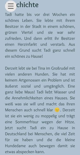 Tadi, kleine Maus
