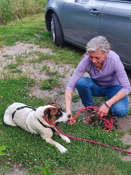 🌿 Sensibler Dallas sucht Dich🐶