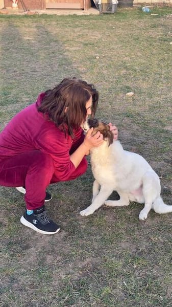 🌿 Sensibler Dallas sucht Dich🐶