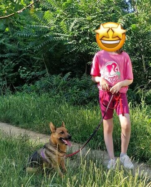 Teffie, 2 Jahre alt sucht ein Zuhause