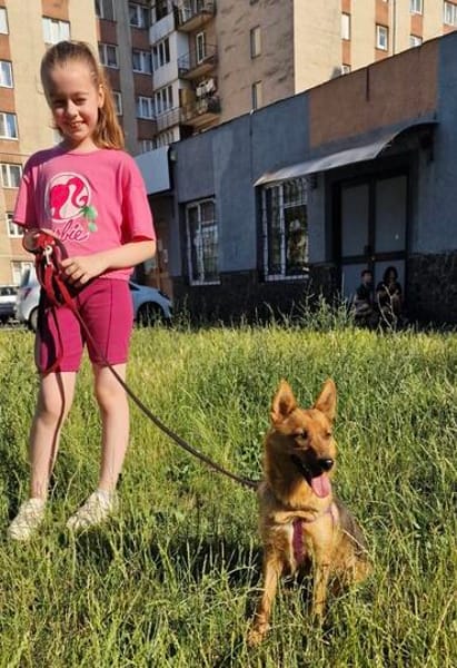 Teffie, 2 Jahre alt sucht ein Zuhause