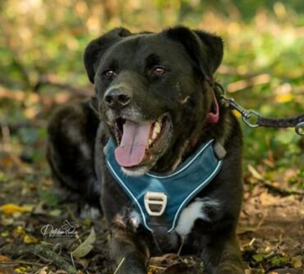 aktiver OREO sucht erfahrene Menschen