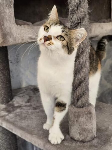 LILLY - will endlich geliebt werden!