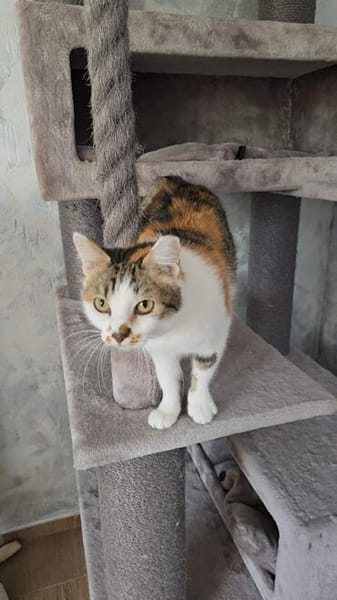 LILLY - will endlich geliebt werden!