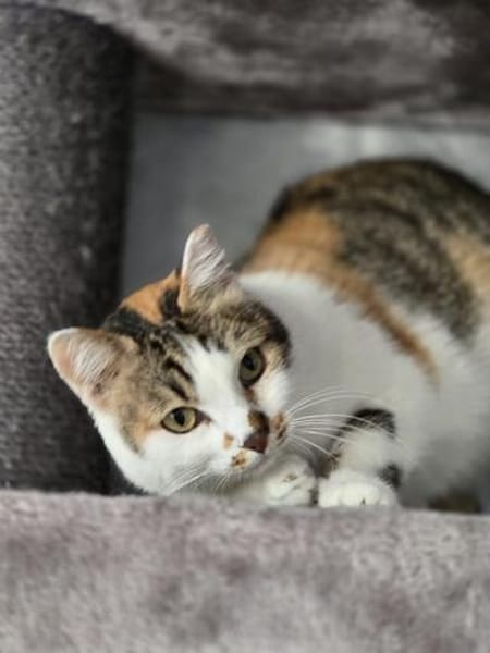 LILLY - will endlich geliebt werden!
