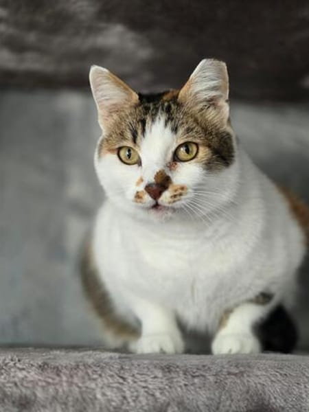 LILLY - will endlich geliebt werden!