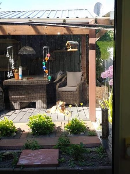Mandula auf Pflegestelle in DE