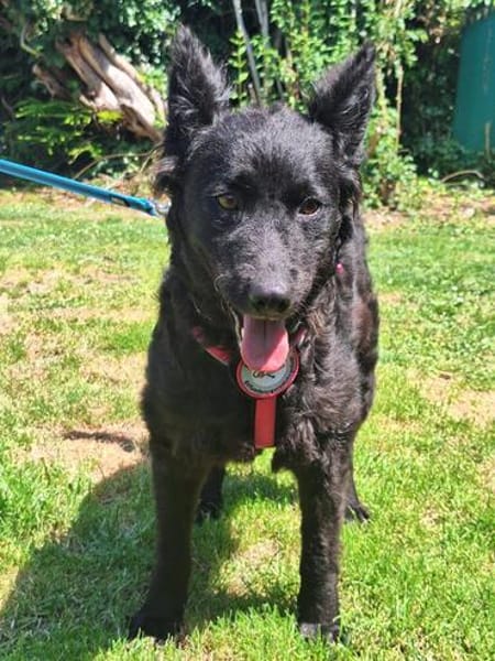 💕Sally💕 sucht ihre Familie