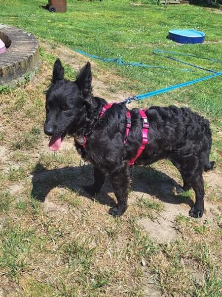 💕Sally💕 sucht ihre Familie