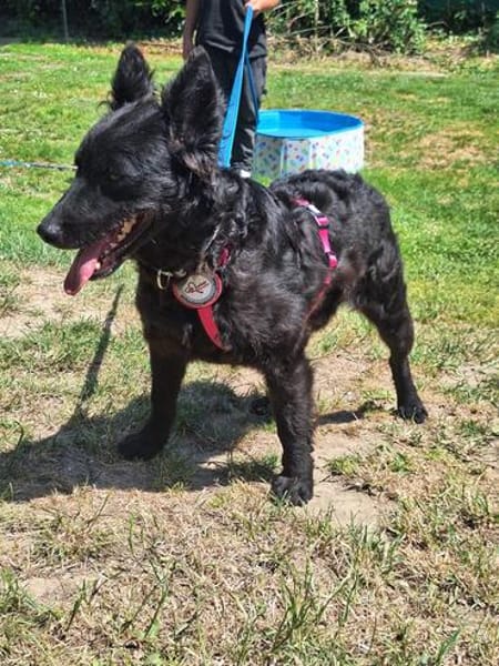 💕Sally💕 sucht ihre Familie