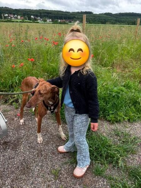 Leah - auf langen Beinen unterwegs