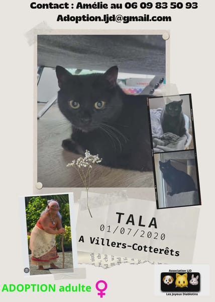 Tala